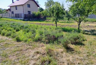 Teren de 870 mp, în Central - 4