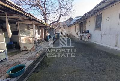Casa individuala cu teren generos 2158mp, front 12m, livada, Freidorf - 18