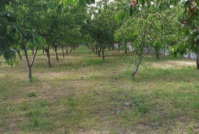 Casă cu 3 camere în Cotești - 7