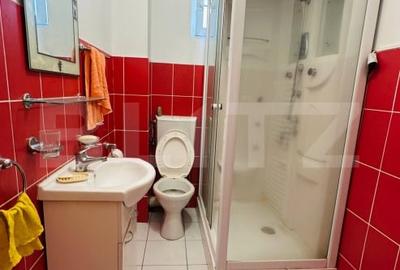 Apartament cu 1 camera + loc parcare, zona Turnisor - 4