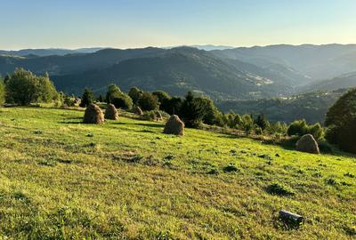 Teren de 17278 mp, în Teiu - 5