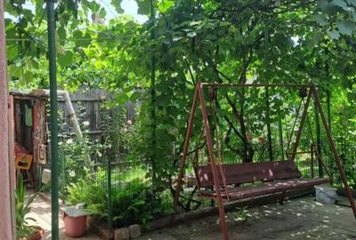 Casă individuală cu 4 camere cu Teren 816 Mp în Bariera Vâlcii - 6