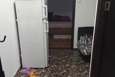 Garsonieră decomandată în Brazda lui Novac - 14