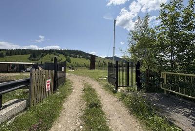 Teren de 75000 mp, în Dămuc - 5