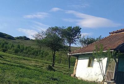 Casă cu 2 camere cu Teren 132 Mp în Ceanu Mare - 4