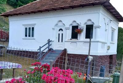 Vand casa la munte ! - 2