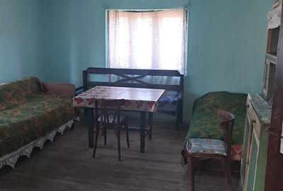 Casă cu 3 camere în Densuș - 8