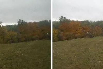 Teren faneata Vizantea Livezi; ID: R2800475 - 9