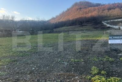 Teren generos 10 Ari, Zona VIlla Franca-ideal constructie casa - 2