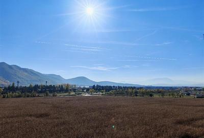 Apartament cu 2 camere decomandat, mobilat în Avantgarden - 12