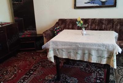 Vand casa cu teren de 2000mp in Bogdanesti - 8