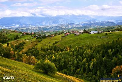 Teren de 6966 mp, în Fundata - 16