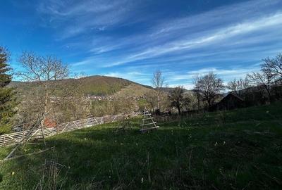 Teren de 2500 mp, în Trăisteni - 2