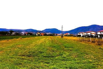 6630 mp TEREN INTRAVILAN, BAIA MARE - SASAR, jud. MARAMURES - 2