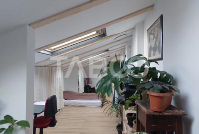 Casa de vanzare care poate fi caminul tau dar si afacerea ta Cisnadie - 22