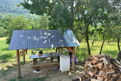 Casă cu 2 camere cu Teren 3900 Mp în Măgureni - 7