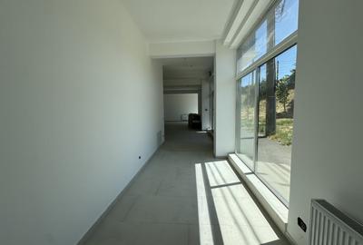Spațiu comercial, de 112.16999816895 mp, în Someșeni - 7