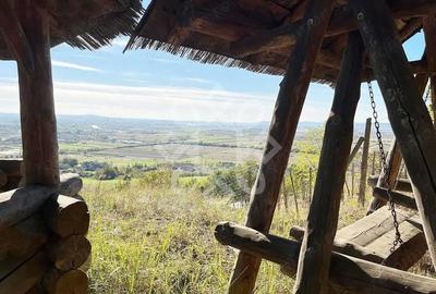 Casă cu Teren 2046 Mp în Tileagd - 1