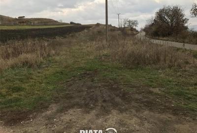 Teren extravilan situat pe Dealul Lombului - 3