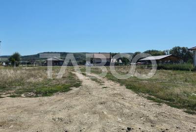 Teren intravilan de vanzare in Sebes Drumul Petrestiului - 3