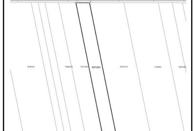 Teren extravilan de vânzare – 2 hectare în Sânandrei - 2