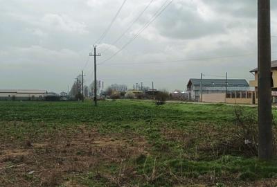 Teren Construcții intravilan de 552 mp, în Vidra - 8