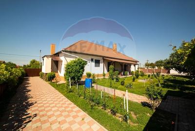 Casa cu 3 apartamente, piscina si 1000 mp teren, vanzare/schimb Turnu - 2