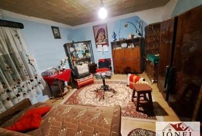 Casa de vanzare in Ciugud -1000 mp teren - 5