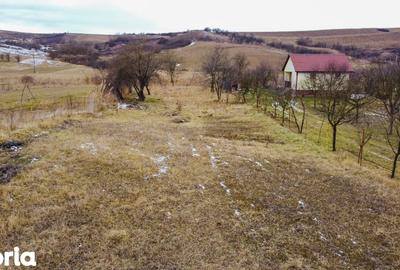 Teren de 1500 mp, în Ciurila