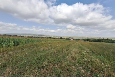 Oferta de vanzare teren intravilan, Tureni, 5800 mp. - 3