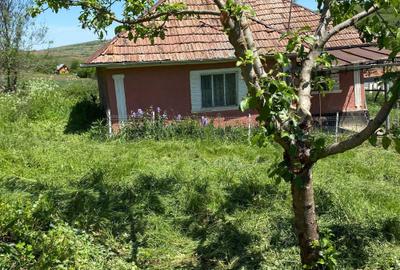 Casă cu 2 camere în Buza - 6