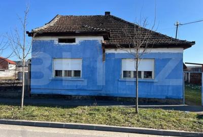 Casă cu 2 camere cu Teren 1500 Mp în Botizului