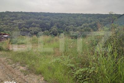 Spațiu comercial, în Leamna de Jos - 2