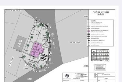 Casă cu 6 camere cu Teren 956 Mp în Porumbacu de Jos - 6