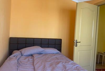 Apartament 2 camere  zona  Cetate - 5