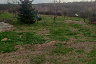 Teren de 2800 mp, în Blaj - 2