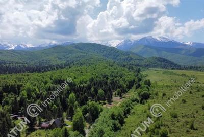 Teren intravilan 1500 mp pe Valea Avrigului