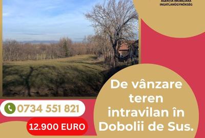 Teren agricol intravilan de 1120 mp, în Dobolii de Sus
