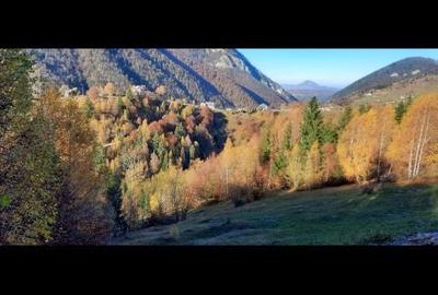 Spațiu comercial, în Peștera - 7