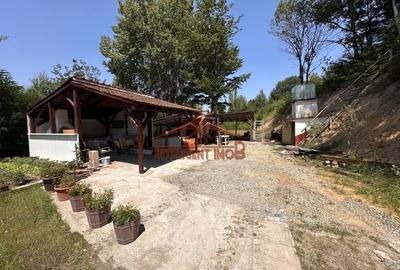 Teren Construcții intravilan de 1500 mp, în Cisnădioara
