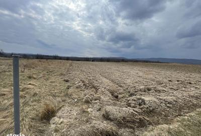 Teren de 2300 mp, în Central - 5