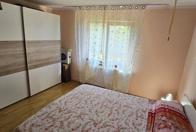 Casă cu 5 camere cu Teren 3552 Mp în Bălușeni - 10