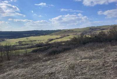 Spațiu comercial, în Țeline - 3