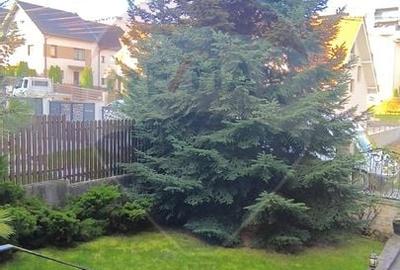 Casă cu 6 camere cu Garaj în Bună Ziua - 3