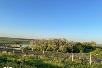 Teren de 3100 mp, în Bălțați - 4