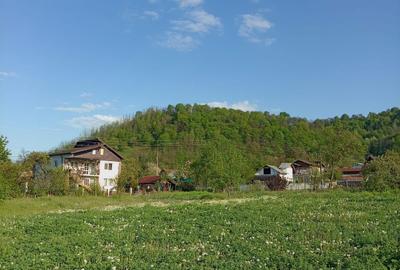 Spațiu comercial, în Valea - 4