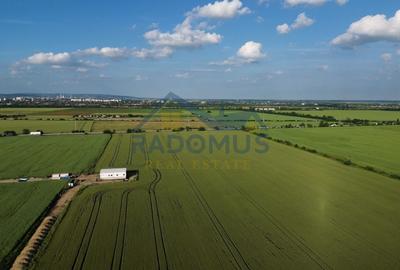 Teren agricol intravilan de 10000 mp, în Exterior Vest - 6