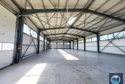 Spațiu industrial, 570 mp în Sud