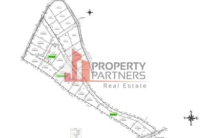 Teren Bran-Tohanita loturi intre 500/1000 mp - 6