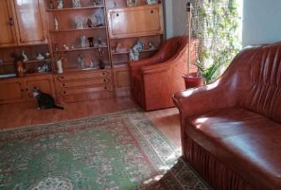 Apartament 2 camere Aradul Nou - 6